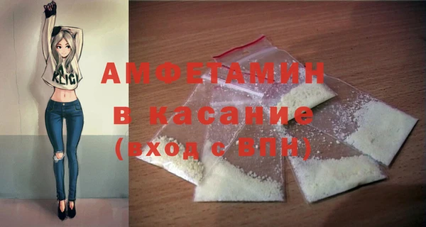 индика Пенза