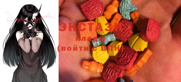 индика Пенза