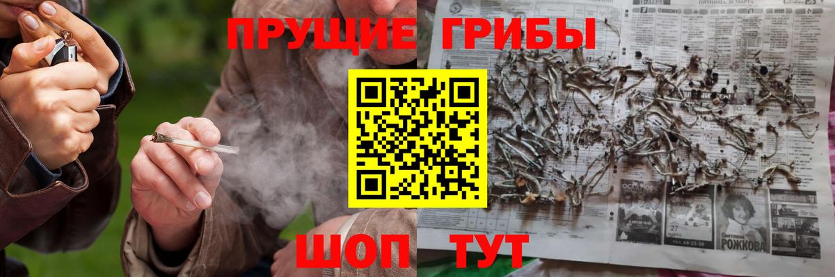 Галлюциногенные грибы GOLDEN TEACHER  Вход с VPN  Камышлов 