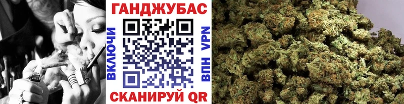 Бошки Шишки план  купить наркотик  Камышлов 